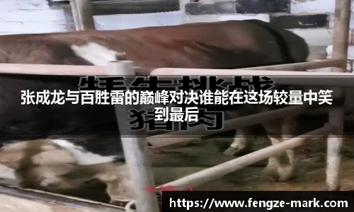 张成龙与百胜雷的巅峰对决谁能在这场较量中笑到最后