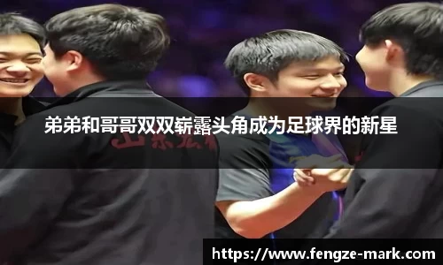 好博(中国)体育